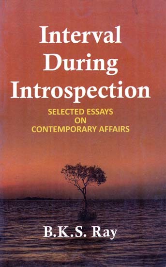 Interval During Introspection Selected Essays on Contemporary Affairs