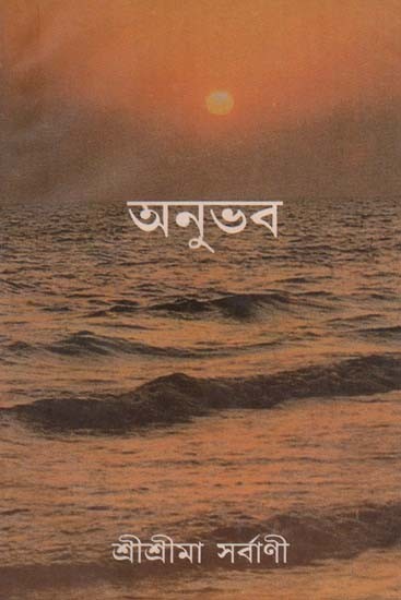 অনুভব: Feeling in Bengali (Volume 1)