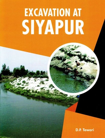Excavation at Siyapur