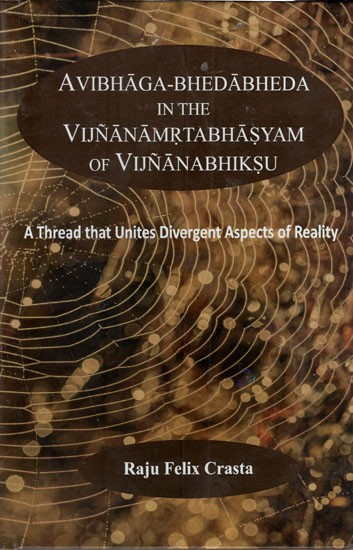 Avibhaga-Bhedabheda in the Vijnanamrtabhasyam of Vijnanabhiksu