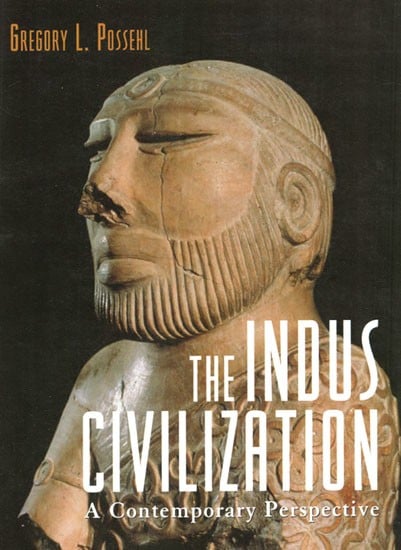 The Indus Civilization (A Contemporary Perspective)