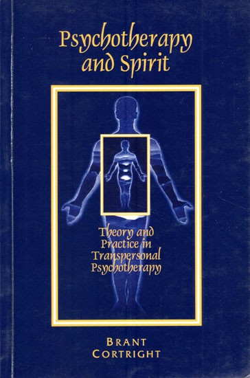 Psychotherapy and Spirit (Theory and Practice in Transpersonal Psychotherapy)