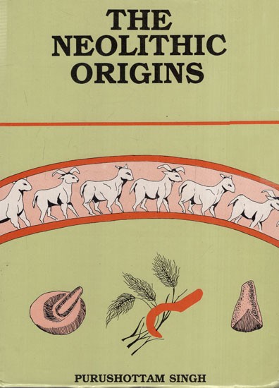 The Neolithic Origins (An Old & Rare Book)