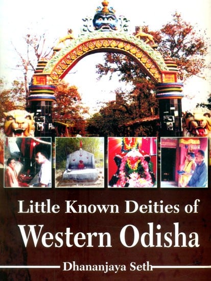 Little Known Deities of Western Odisha