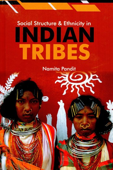 Social Structure and Ethnicity in Indian Tribes
