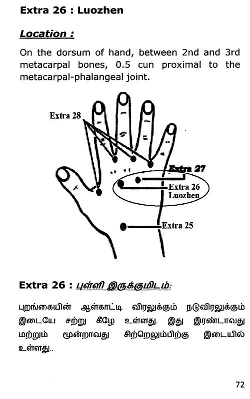 '36' எக்ஸ்ட்ரா அக்குபங்க்சர் புள்ளிகள் '36' Extra Acupuncture Points