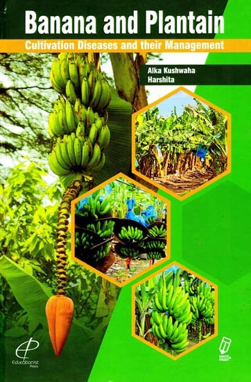 Banana and Plantain Cultivation Diseases and their Management