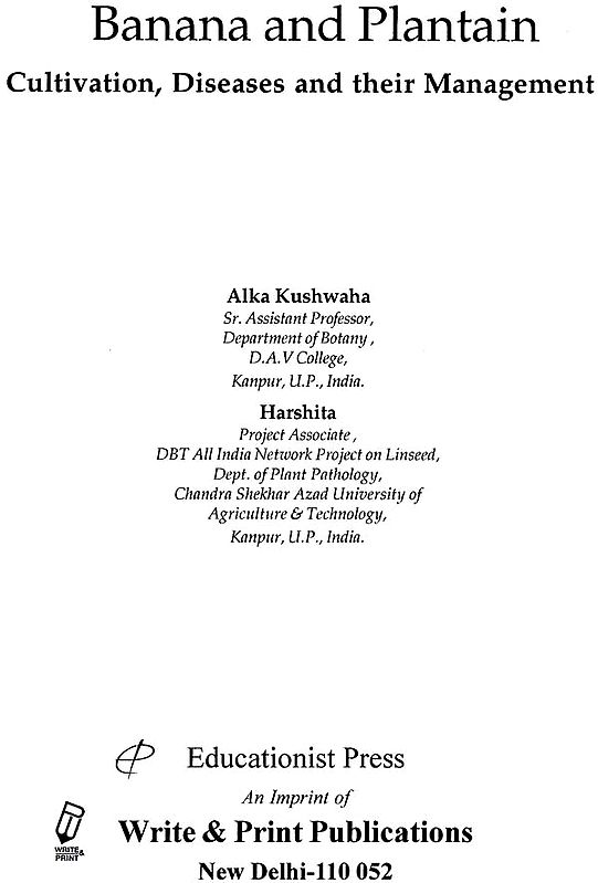 Banana and Plantain Cultivation Diseases and their Management Exotic India Art