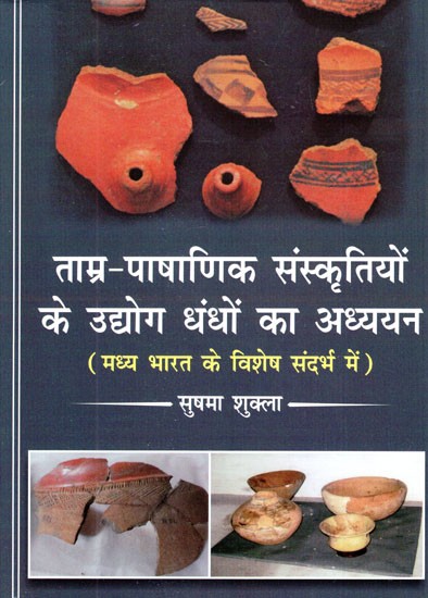 ताम्र-पाषाणिक संस्कृतियों के उद्योग धंधों का अध्ययन ( मध्य भारत के विशेष संदर्भ में)- Study of Industries of Chalcolithic Cultures (with Special Reference to Central India)