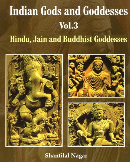 Indian Gods and Goddesses - Hindu, Jain and Buddhist Goddesses (Vol.3)