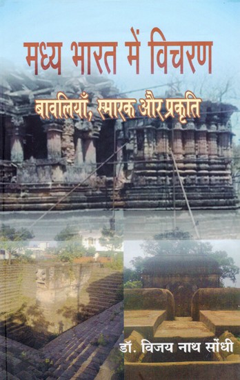 मध्य भारत में विचरण बावलियाँ, स्मारक और प्रकृति: Viharan Baolis, Monuments and Nature in Central India