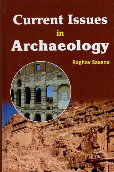 Current Issues in Archaeology
