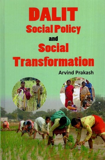 Dalit Social Policy and Social Transformation