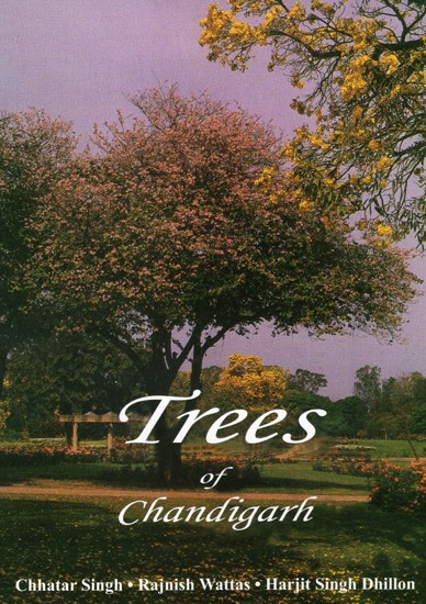 Trees of Chandigarh