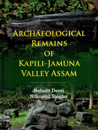 Archaeological Remains of Kapili-Jamuna Valley Assam
