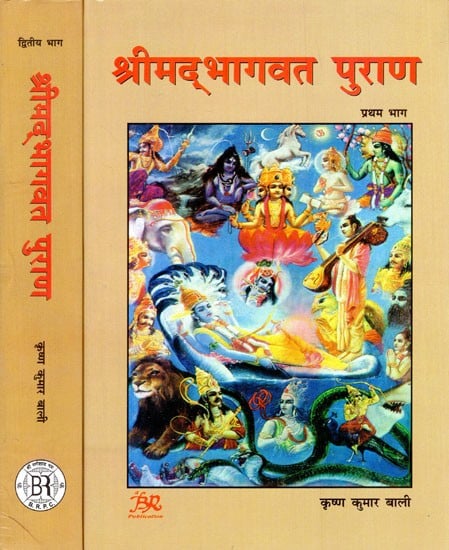 श्रीमद्भागवत पुराण (संक्षिप्त-यथारूप हिन्दी अनुवाद )- Shrimad Bhagawat Purana (Brief-Exact Hindi Translation) (Set of 2 Volumes)