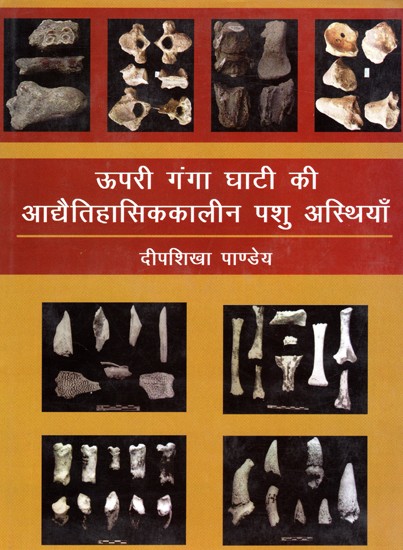 ऊपरी गंगा घाटी की आद्यैतिहासिककालीन पशु अस्थियाँ: Prehistoric Animal Bones of Upper Ganges Valley