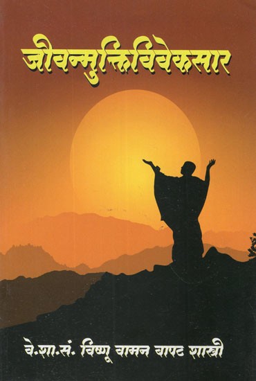 जीवन्मुक्तिविवेकसार- Discourses on Jivan Mukti Viveka Sara (Marathi)