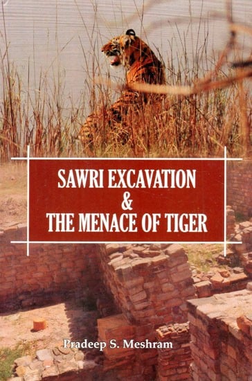 Sawri Excavation & The Menace of Tiger