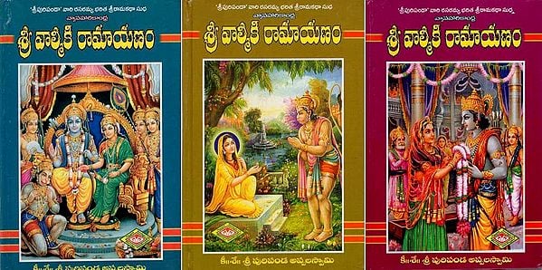 శ్రీ వాల్మీకి రామాయణం: Sri Valmiki Ramayana in Telugu (Set of 3 Volumes)