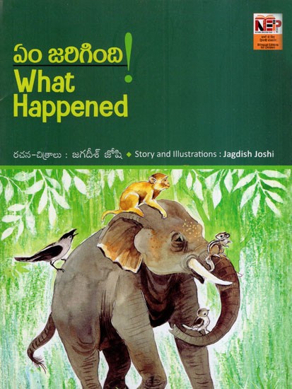 ఏం జరిగింది: What Happened! (Telugu)