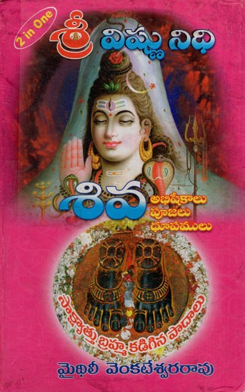శ్రీ విష్ణునిధి: Shri Vishnu Nidhi (Telugu)