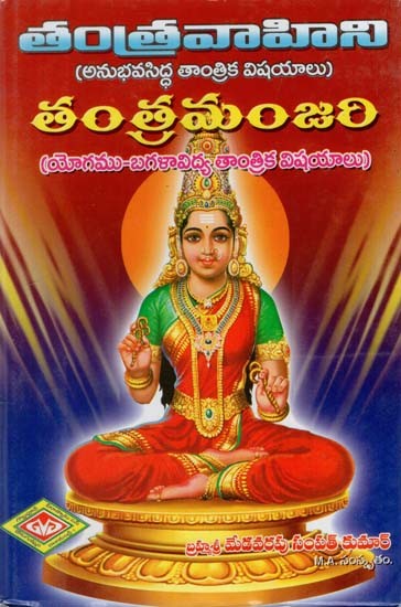 మహామంత్ర చింతామణి: Tantra Vahini & Tantra Manjari (Telugu)