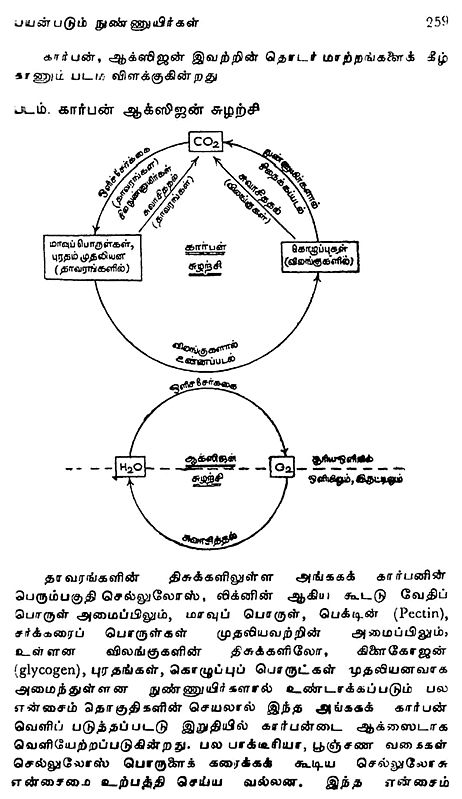 நுண்ணுயிர்கள்: Microorganisms (Tamil) | Exotic India Art