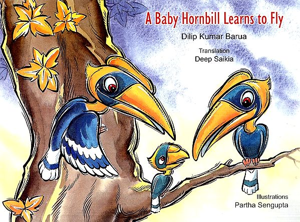 A Baby Hornbill Learns To Fly
