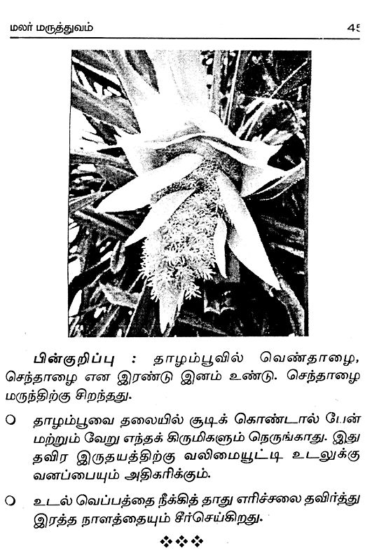 மலர் மருத்துவம் Flower Medicine (Tamil) Exotic India Art