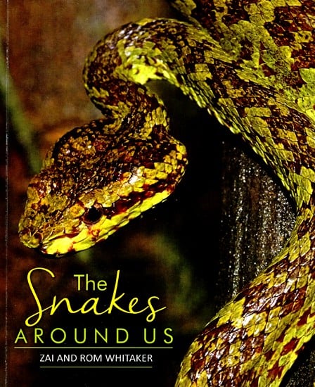 The Snakes Around Us