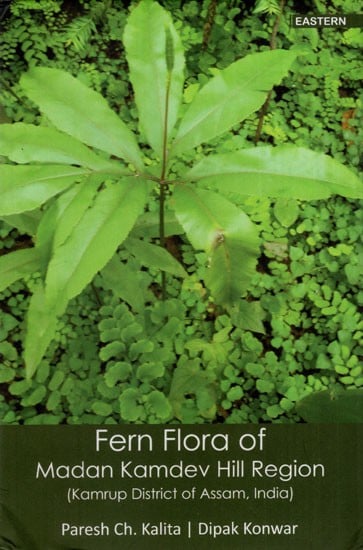 Fern Flora of Madan Kamdev Hill Region (Kamrup District of Assam, India)
