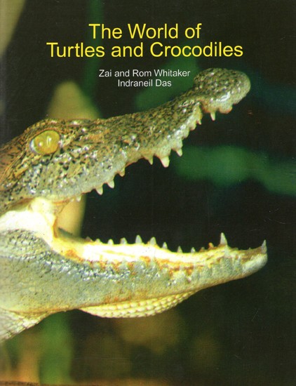 The World of Turtles And Crocodiles