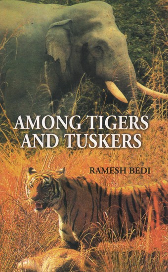 Among Tigers And Tuskers