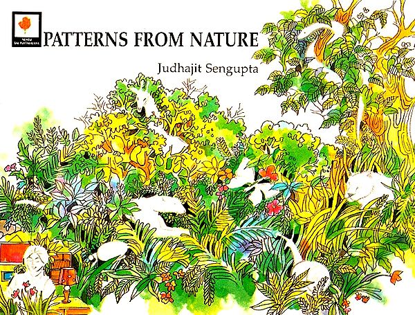 Patterns from Nature