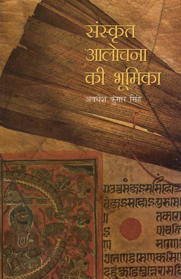 संस्कृत आलोचना की भूमिका- The Role of Sanskrit Criticism