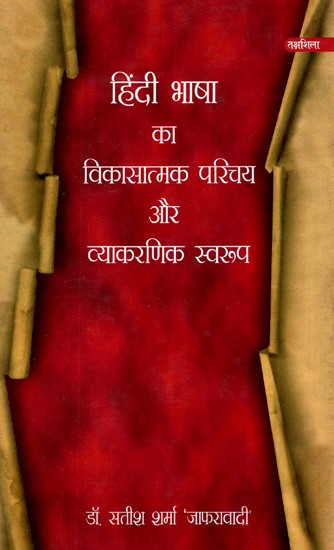 हिंदी भाषा का विकासात्मक परिचय और व्याकरणिक स्वरूप- Developmental Introduction and Grammatical Structure of Hindi language