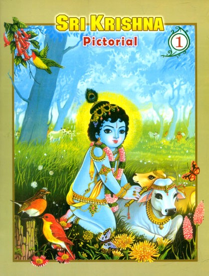 Sri Krishna- Pictorial (Part-1)