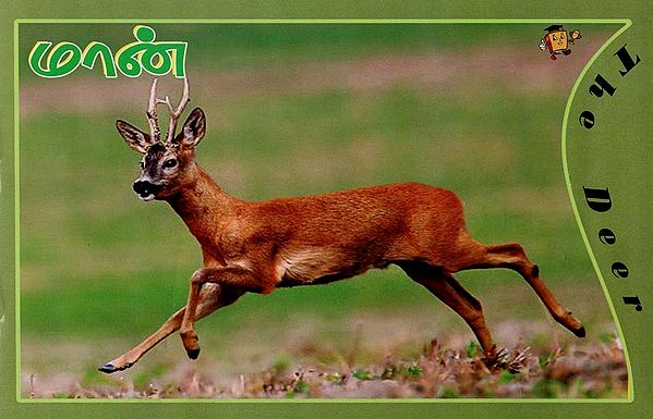 மான் - The Deer (Tamil)