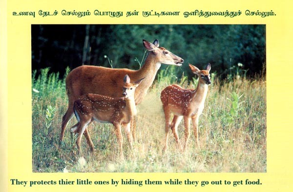 the-deer-tamil-exotic-india-art