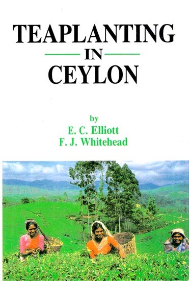 Tea Planting in Ceylon