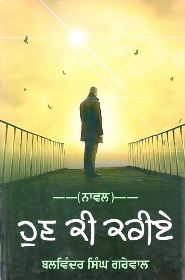 ਹੁਣ ਕੀ ਕਰੀਏ (ਨਾਵਲ)- What To Do Now (Novel in Punjabi)
