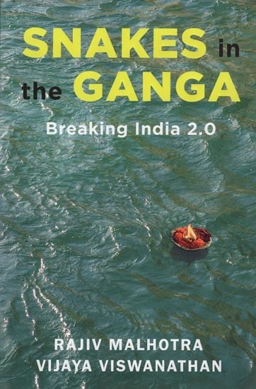 Snakes in the Ganga: Breaking India 2.0