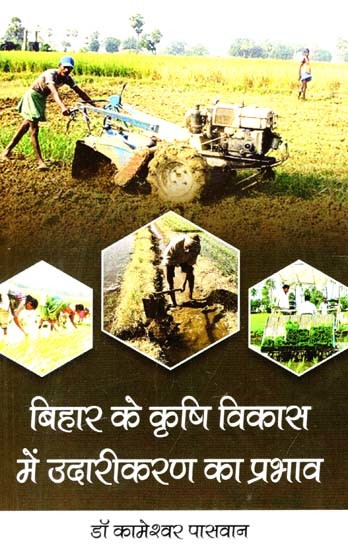 बिहार के कृषि विकास में उदारीकरण का प्रभाव: Effect of Liberalization in Agricultural Development of Bihar