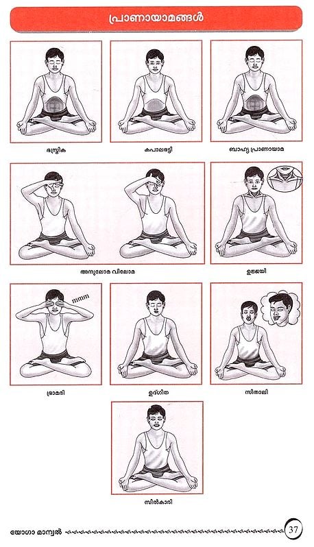 Yoga Malayalam