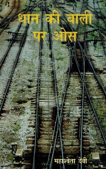 धान की बाली पर ओस- Dhaan Ki Baali Par Os (Novel)