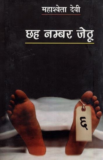 छह नम्बर जेठू- Chhah Number Jethu (Novel)