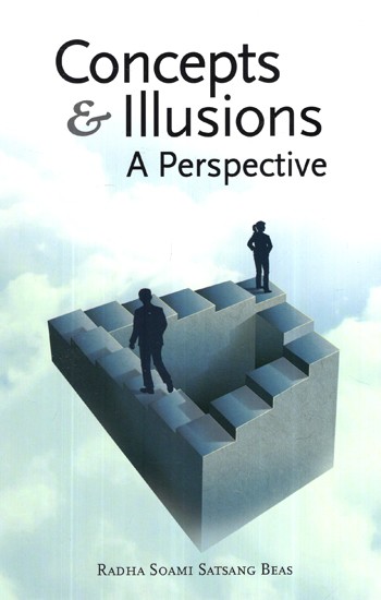Concepts and Illusions (A Perspective)