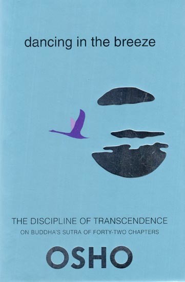 Dancing in the Breeze: The Discipline of Transcendence on Buddha's Sutra of Forty Two Chapters.