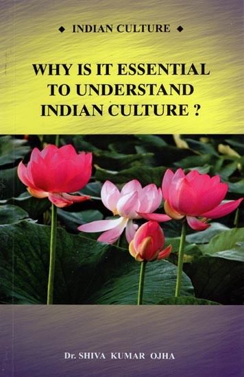 Why is It Essential to Understand Indian Culture ?